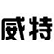 威特仪表科技