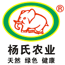杨氏农业