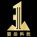 望岳科技
