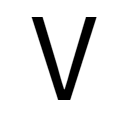 VITALBEAUTIE