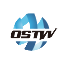 志成凌云OSTW
