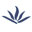 非格科技