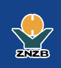 中原内配ZYNP