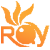 光线网络ROY
