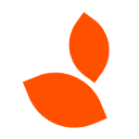 Dümmen Orange橙色多盟