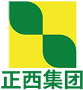 正西