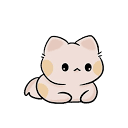 申伯仕SNBONS