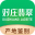 对庄翡翠