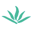 智维科技