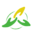 丰泽园家政