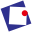 金视野