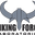 VIKING FORCE北欧海盗