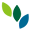 绿新