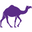 Camelicious